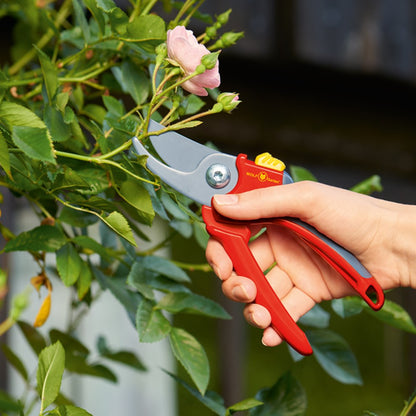 WOLF-Garten Bypass Secateurs 22mm Cutting Diameter - Ideal for Medium Size Hand - WolfOnline