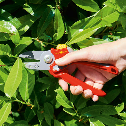 WOLF-Garten RS2500 Anvil Secateurs with red and yellow ergonomic hand and non-stick coated blade shown cutting pruning woody stems.