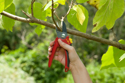 WOLF-Garten RS900T 4 Power Cut Anvil Lopper & RS2500 Anvil Secateurs – Comfort Plus Garden Shears WolfOnline