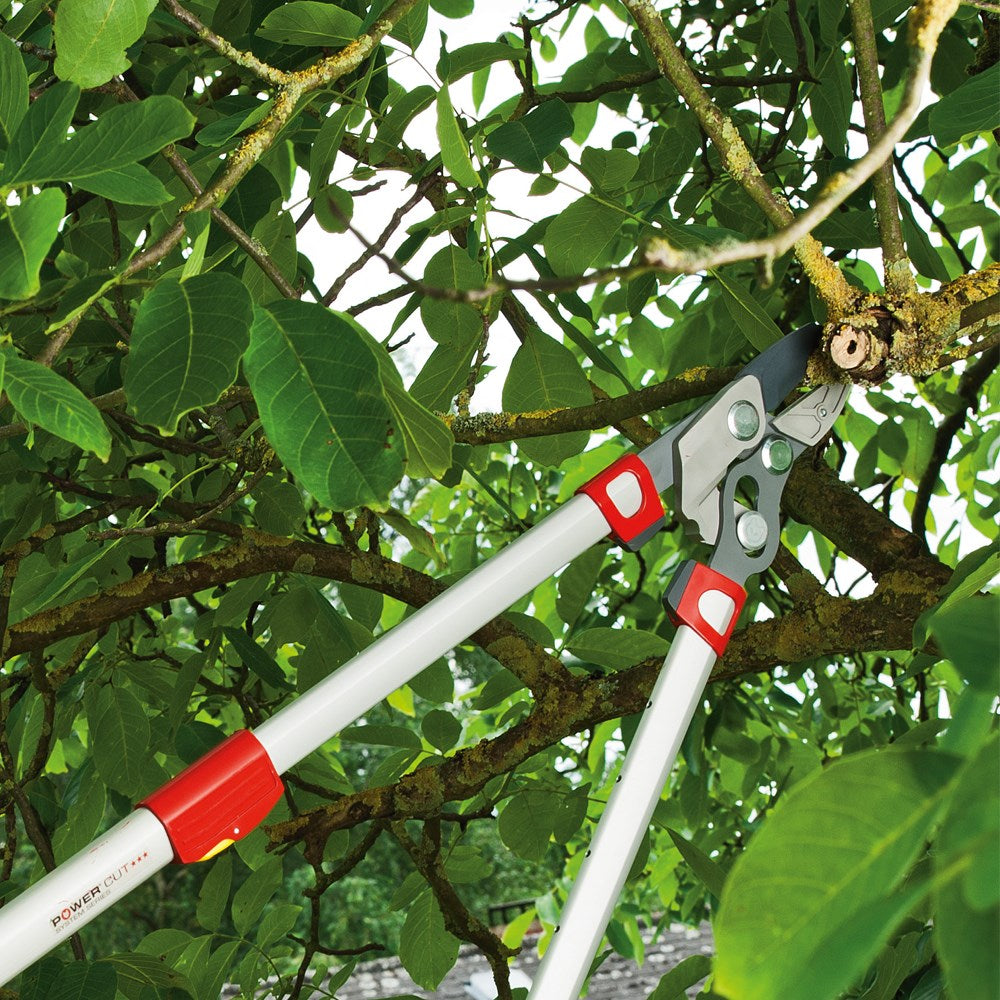 WOLF Garten 4 Power Cut Anvil Lopper - WolfOnline
