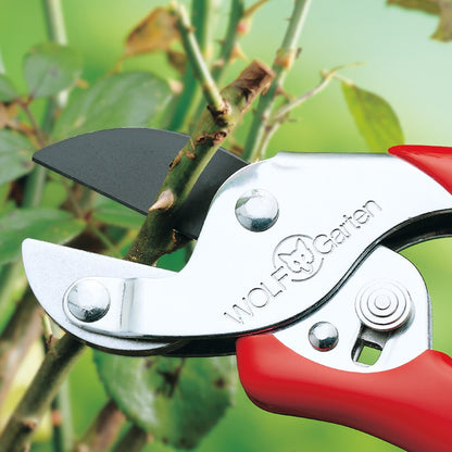 Wolf-Garten RSEN Anvil Secateurs cutting dry stem