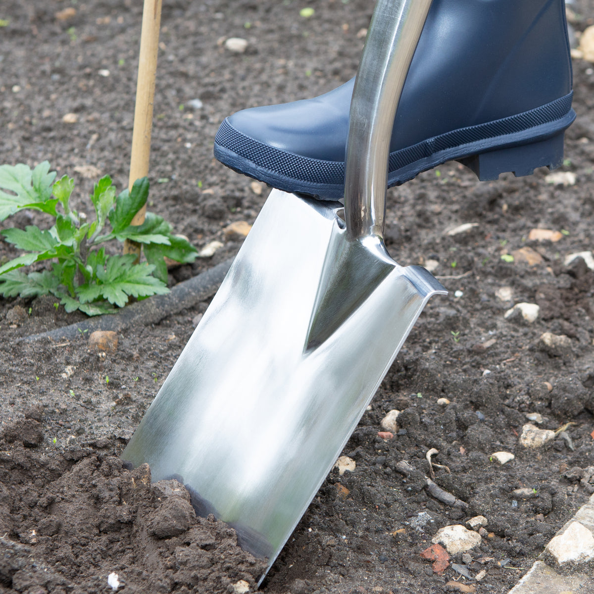 Wilkinson Sword Stainless Steel Digging Spade