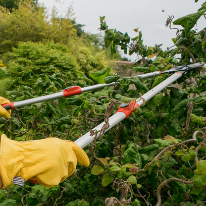 A person wearing a yellow gardening glove uses long-handled pruning shears with red accents to trim green leafy vines in a garden.