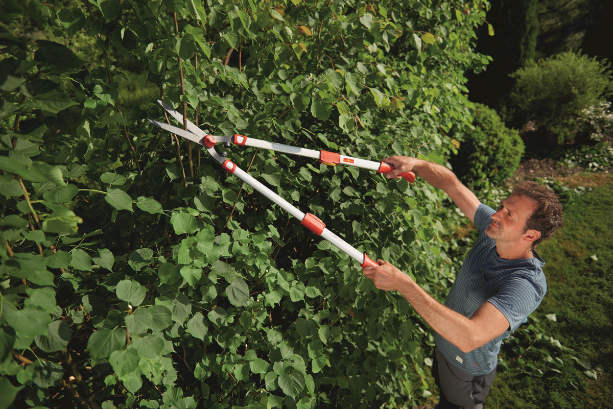 WOLF-Garten HS1000T Telescopic Hedge Shears – Adjustable 70-100cm Wolfonline