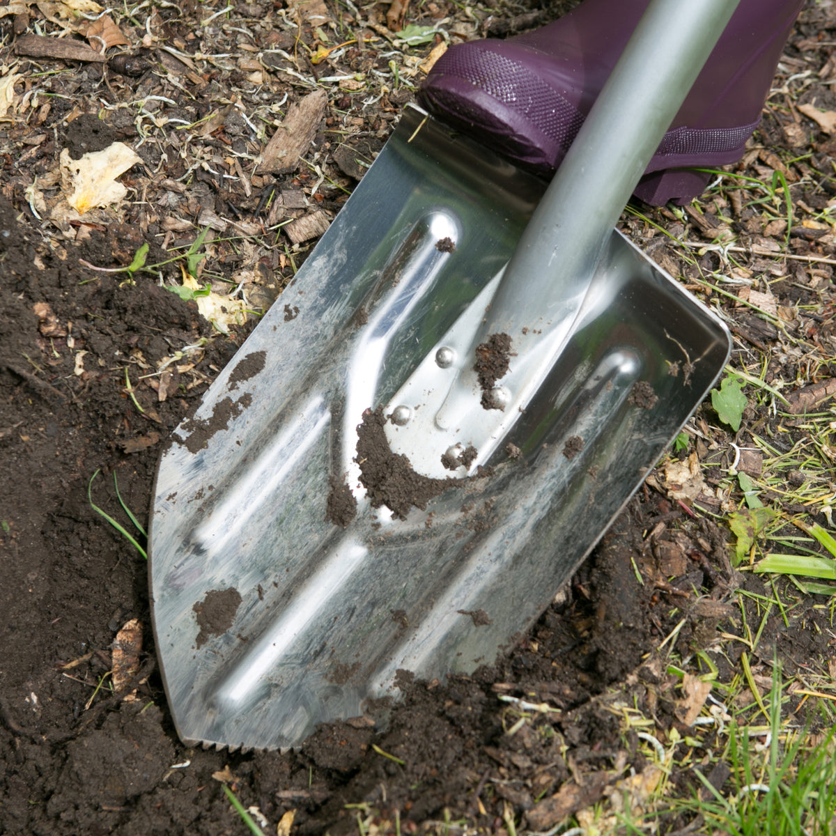A close-up of a metal garden shovel with dark soil on the blade, being used in loose earth outdoors. Part of a purple boot is visible at the top right.