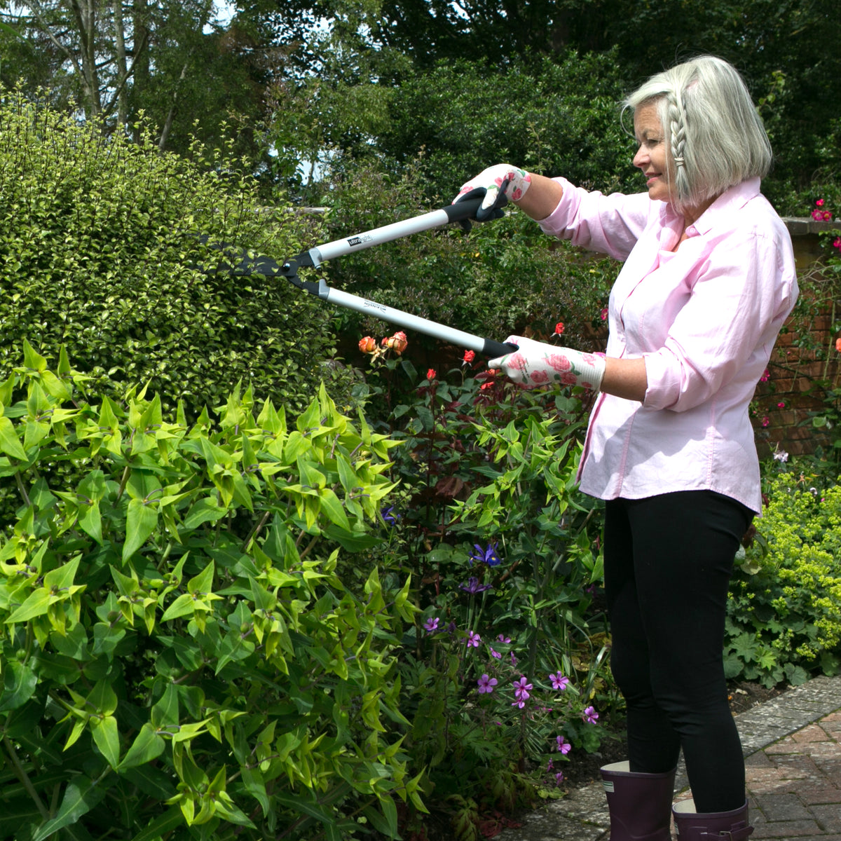 Person using Wilkinson Sword garden hedge shears for precise cutting of hedges, shrubs and bushes to trim bushes in a garden setting