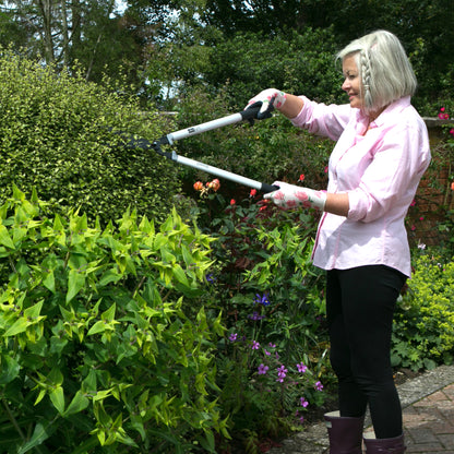 Person using Wilkinson Sword garden hedge shears for precise cutting of hedges, shrubs and bushes to trim bushes in a garden setting