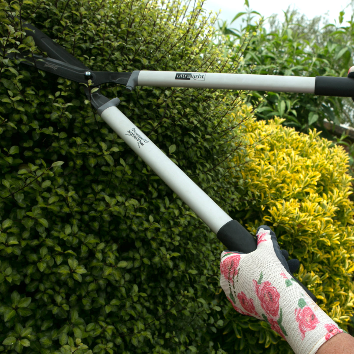 Person using Lightweight Wilkinson Sword hedge shears with ergonomic handles for comfortable garden maintenance on a bush with a floral glove
