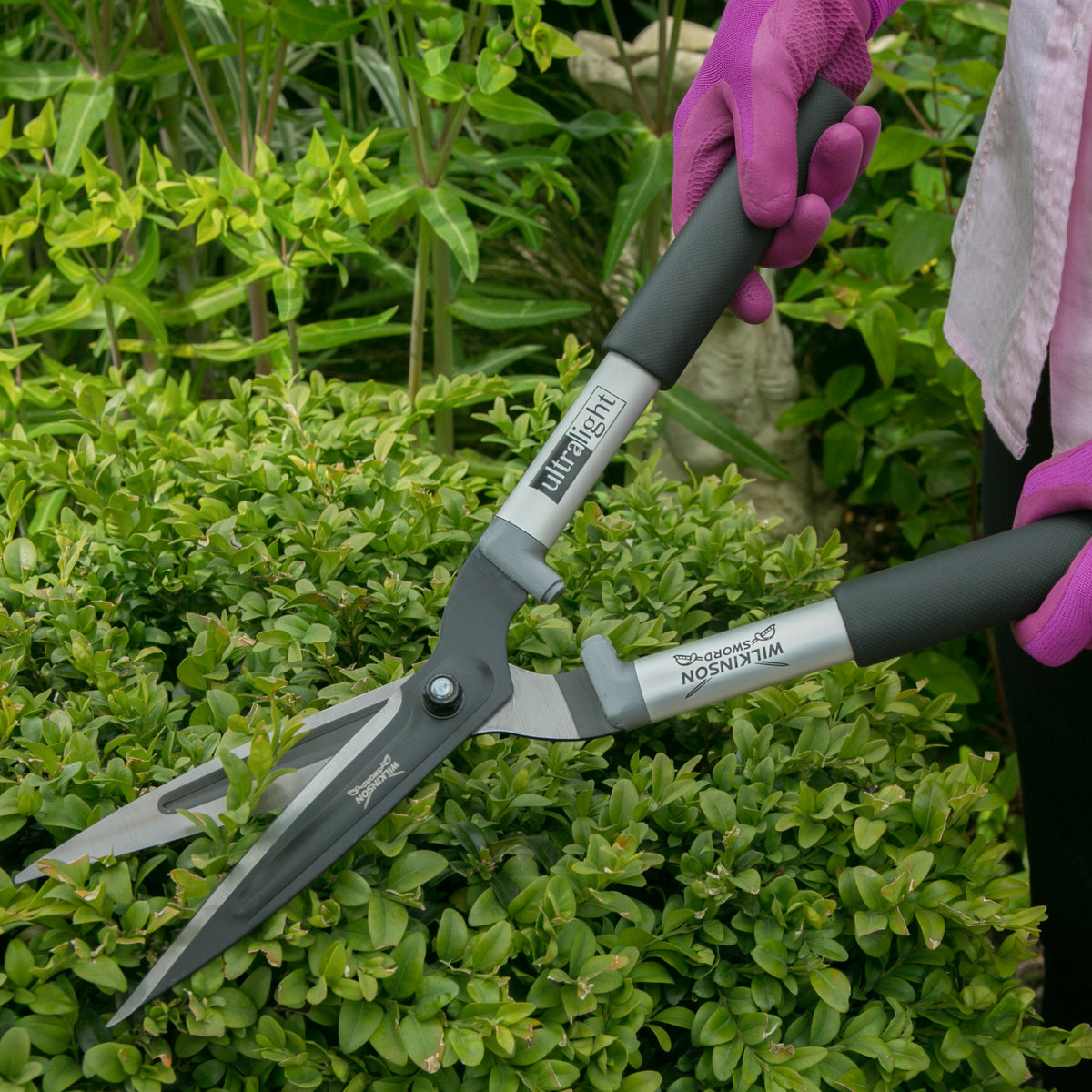 A person wearing pink gardening gloves uses a pair of Wilkinson Shears hedge trimmers with black and silver handles to trim a green hedge in a garden.