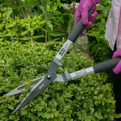 A person wearing pink gardening gloves uses a pair of Wilkinson Shears hedge trimmers with black and silver handles to trim a green hedge in a garden.