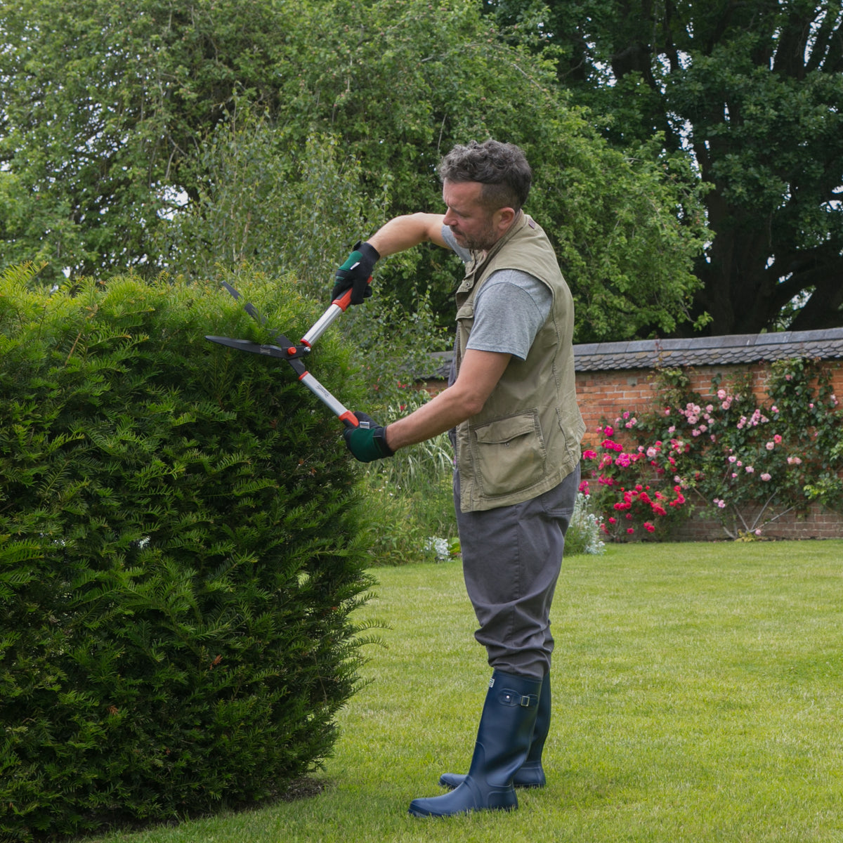 Man trimming a hedge with Wilkinson Sword manual hedge cutter with wavy blades for accurate hedge shaping in a garden setting.