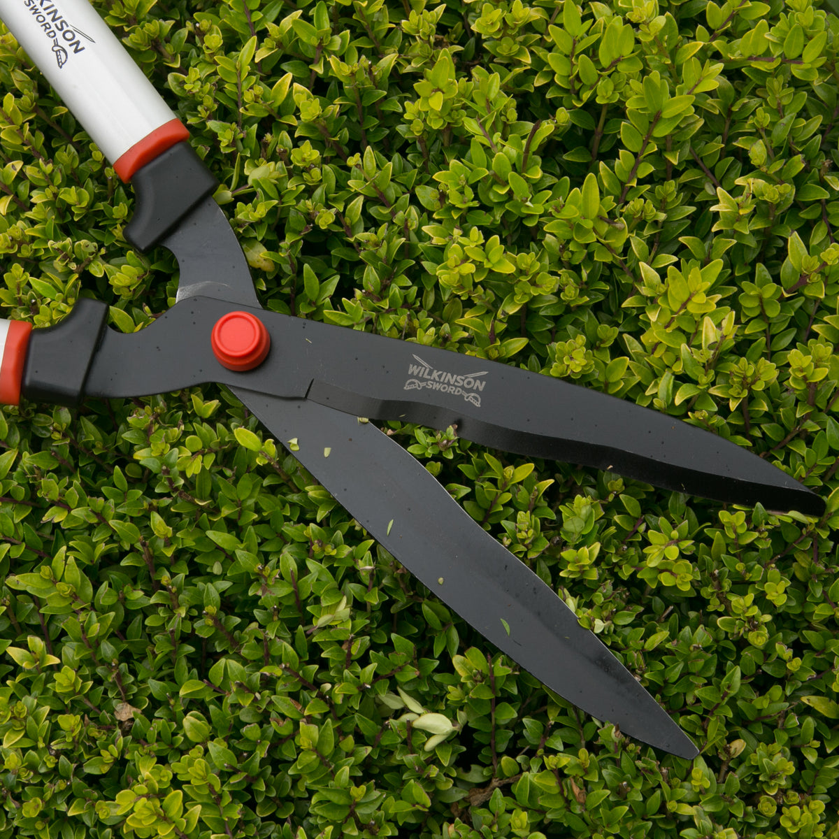 Wavy blade hedge shears with comfortable handles for garden maintenance and pruning on a green leafy background