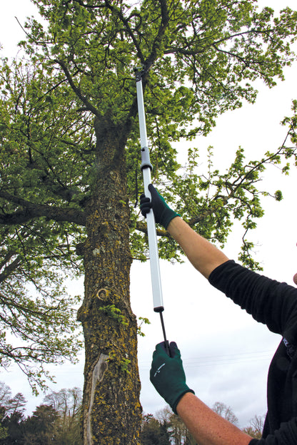 Person using a Wilkinson Sword Ultralight Branch Cutter Head with sharp cutting blade attachment for pruning and removing branches in the garden to trim branches on a tree